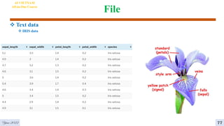 File
 Text data
 IRIS data
AI VIETNAM
All-in-One Course
Year 2022 77
 