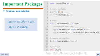 Important Packages
Year 2022
𝑔 𝑥 = 𝑐𝑜𝑠 𝑥2𝑒𝑥 + 2𝑥
ℎ 𝑔 = 𝑒𝑔𝑠𝑖𝑛 𝑔
 Gradient computation
94
 