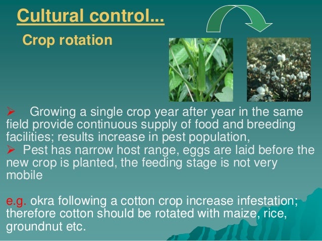 management of insect pest