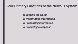 Four Primary Functions of the Nervous System
■ Sensing the world
■ Transmitting information
■ Processing information
■ Producing a response
 