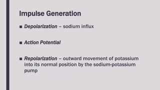 Impulse Generation
■ Depolarization – sodium influx
■ Action Potential
■ Repolarization – outward movement of potassium
into its normal position by the sodium-potassium
pump
 