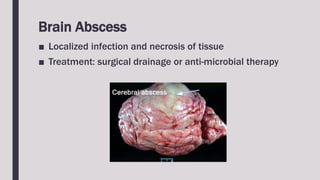 Brain Abscess
■ Localized infection and necrosis of tissue
■ Treatment: surgical drainage or anti-microbial therapy
 