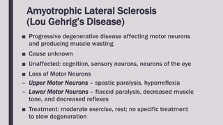 Amyotrophic Lateral Sclerosis
(Lou Gehrig’s Disease)
■ Progressive degenerative disease affecting motor neurons
and producing muscle wasting
■ Cause unknown
■ Unaffected: cognition, sensory neurons, neurons of the eye
■ Loss of Motor Neurons
– Upper Motor Neurons – spastic paralysis, hyperreflexia
– Lower Motor Neurons – flaccid paralysis, decreased muscle
tone, and decreased reflexes
■ Treatment: moderate exercise, rest; no specific treatment
to slow degeneration
 