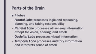 Parts of the Brain
■ 4 lobes
– Frontal Lobe processes logic and reasoning,
planning, and taking responsibility
– Parietal Lobe processes all sensory information
except for vision, hearing, and smell
– Occipital Lobe processes visual information
– Temporal Lobe processes auditory information
and interprets sense of smell
 