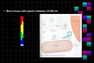 Module 10a   virology