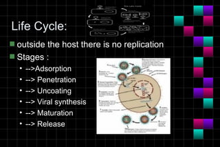 Module 10a   virology