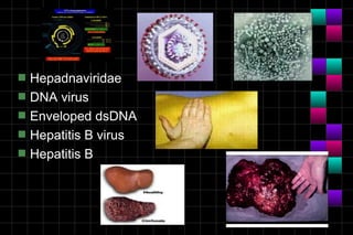 Module 10a   virology