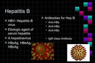 Module 10a   virology