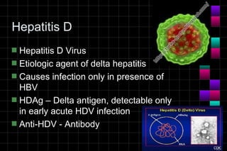 Module 10a   virology