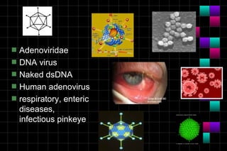 Module 10a   virology
