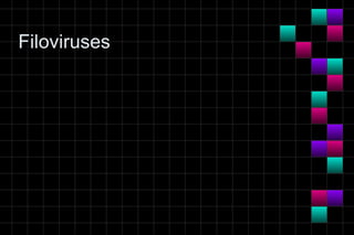 Module 10a   virology