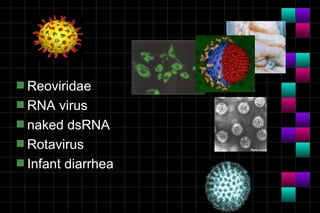 Module 10a   virology