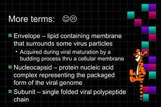 Module 10a   virology
