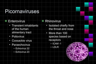 Module 10a   virology