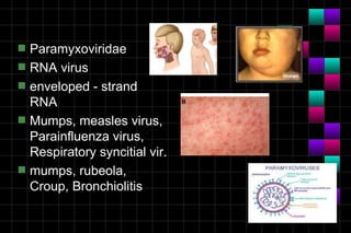 Module 10a   virology