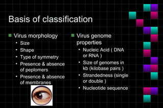 Module 10a   virology