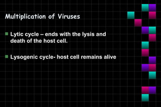 Multiplication of Viruses

s   Lytic cycle – ends with the lysis and
    death of the host cell.

s   Lysogenic cycle- host cell remains alive
 