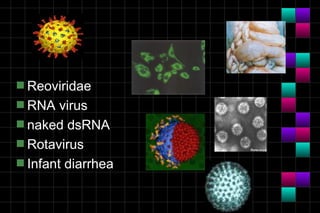 s Reoviridae
s RNA   virus
s naked dsRNA
s Rotavirus
s Infant diarrhea
 