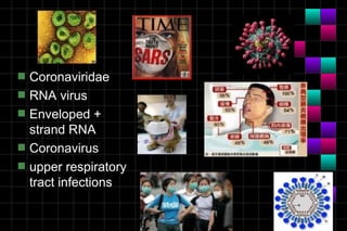 s   Coronaviridae
s   RNA virus
s   Enveloped +
    strand RNA
s   Coronavirus
s   upper respiratory
    tract infections
 