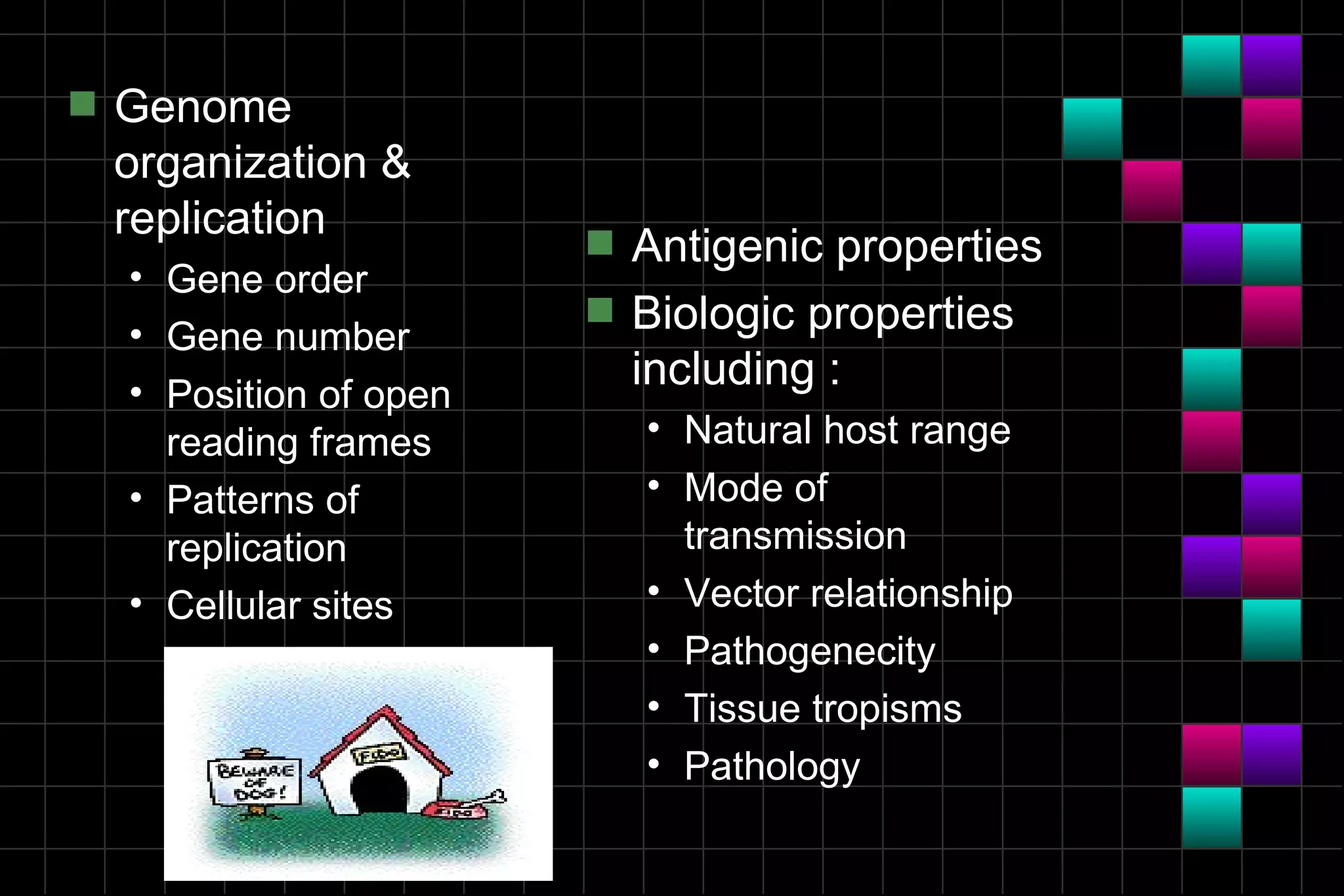 s   Genome
    organization &
    replication          s   Antigenic properties
    • Gene order
    • Gene number
                         s   Biologic properties
    • Position of open
                             including :
      reading frames         • Natural host range
    • Patterns of            • Mode of
      replication              transmission
    • Cellular sites         • Vector relationship
                             • Pathogenecity
                             • Tissue tropisms
                             • Pathology
 