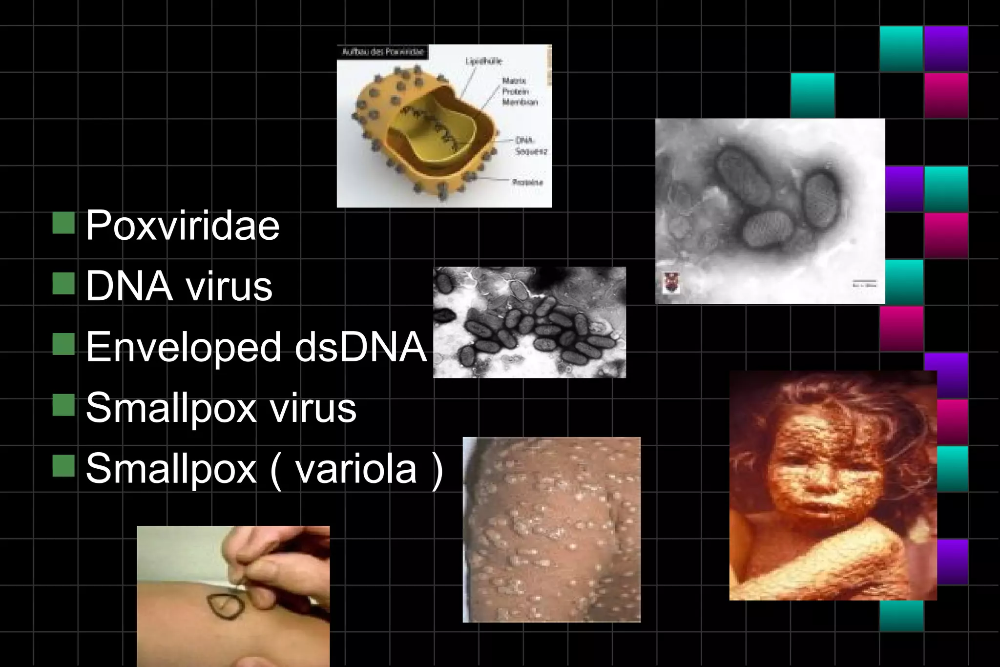 s Poxviridae
s DNA virus
s Enveloped dsDNA
s Smallpox virus
s Smallpox ( variola )
 
