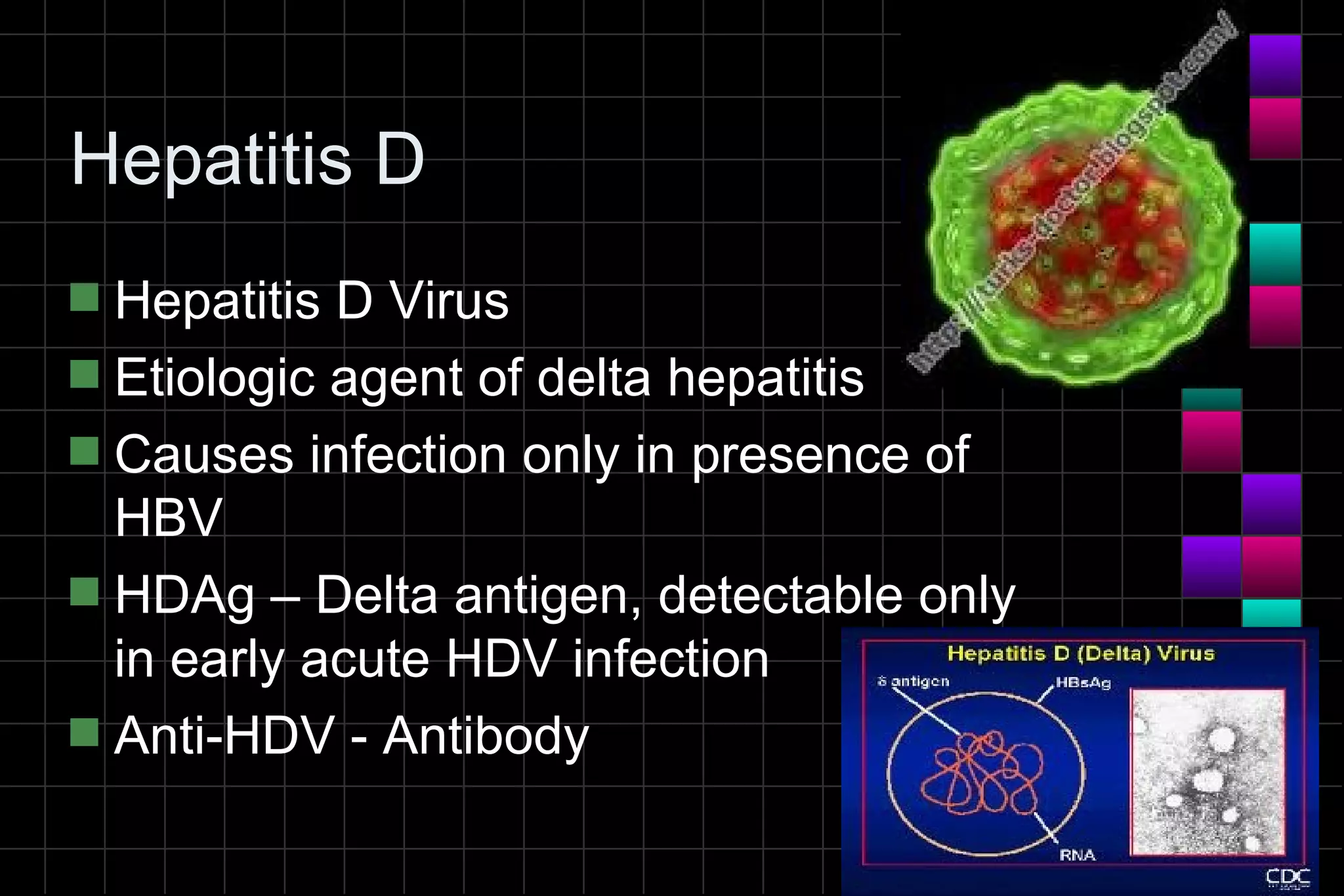 Hepatitis D
s Hepatitis D Virus
s Etiologic agent of delta hepatitis
s Causes infection only in presence of
  HBV
s HDAg – Delta antigen, detectable only
  in early acute HDV infection
s Anti-HDV - Antibody
 