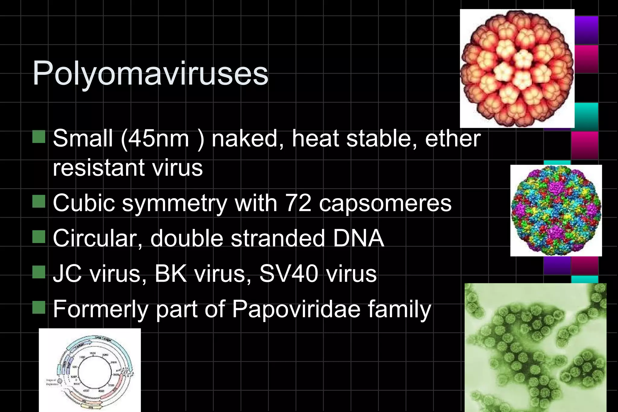 Polyomaviruses
s Small (45nm ) naked, heat stable, ether
  resistant virus
s Cubic symmetry with 72 capsomeres
s Circular, double stranded DNA
s JC virus, BK virus, SV40 virus
s Formerly part of Papoviridae family
 