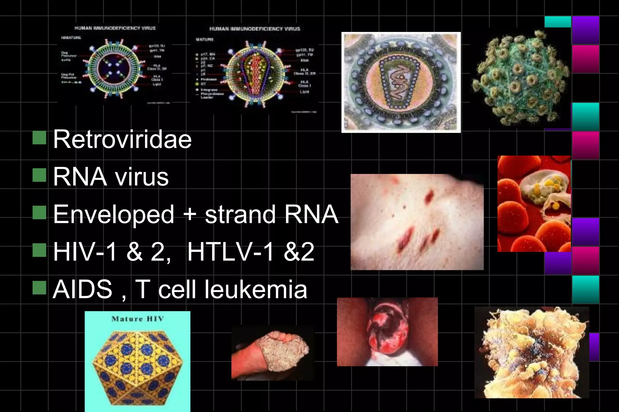 s Retroviridae
s RNA  virus
s Enveloped + strand RNA
s HIV-1 & 2, HTLV-1 &2
s AIDS , T cell leukemia
 