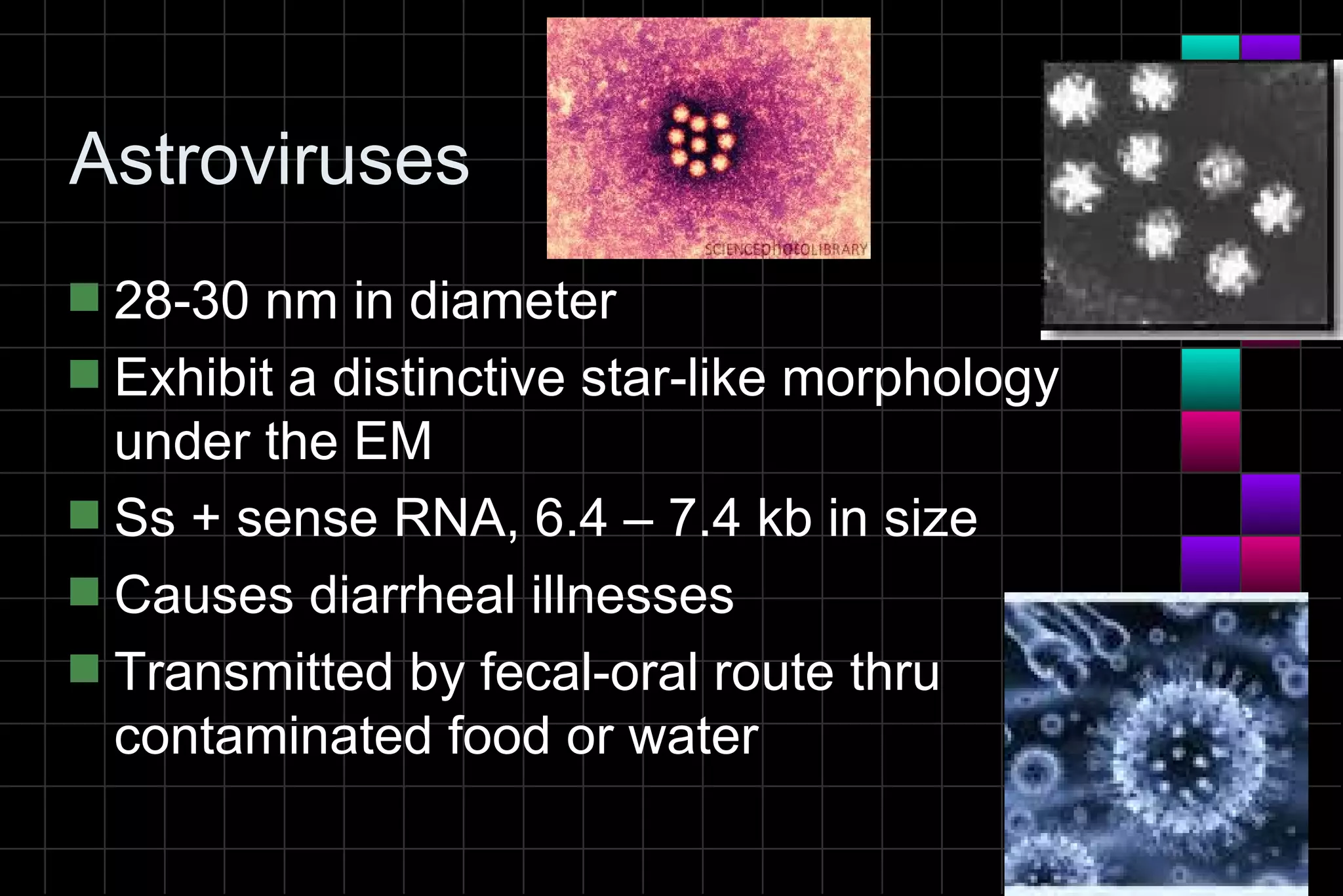 Astroviruses
s 28-30 nm in diameter
s Exhibit a distinctive star-like morphology
  under the EM
s Ss + sense RNA, 6.4 – 7.4 kb in size
s Causes diarrheal illnesses
s Transmitted by fecal-oral route thru
  contaminated food or water
 