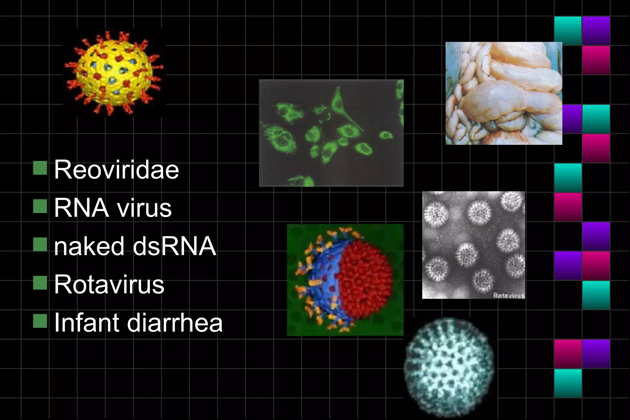 s Reoviridae
s RNA   virus
s naked dsRNA
s Rotavirus
s Infant diarrhea
 