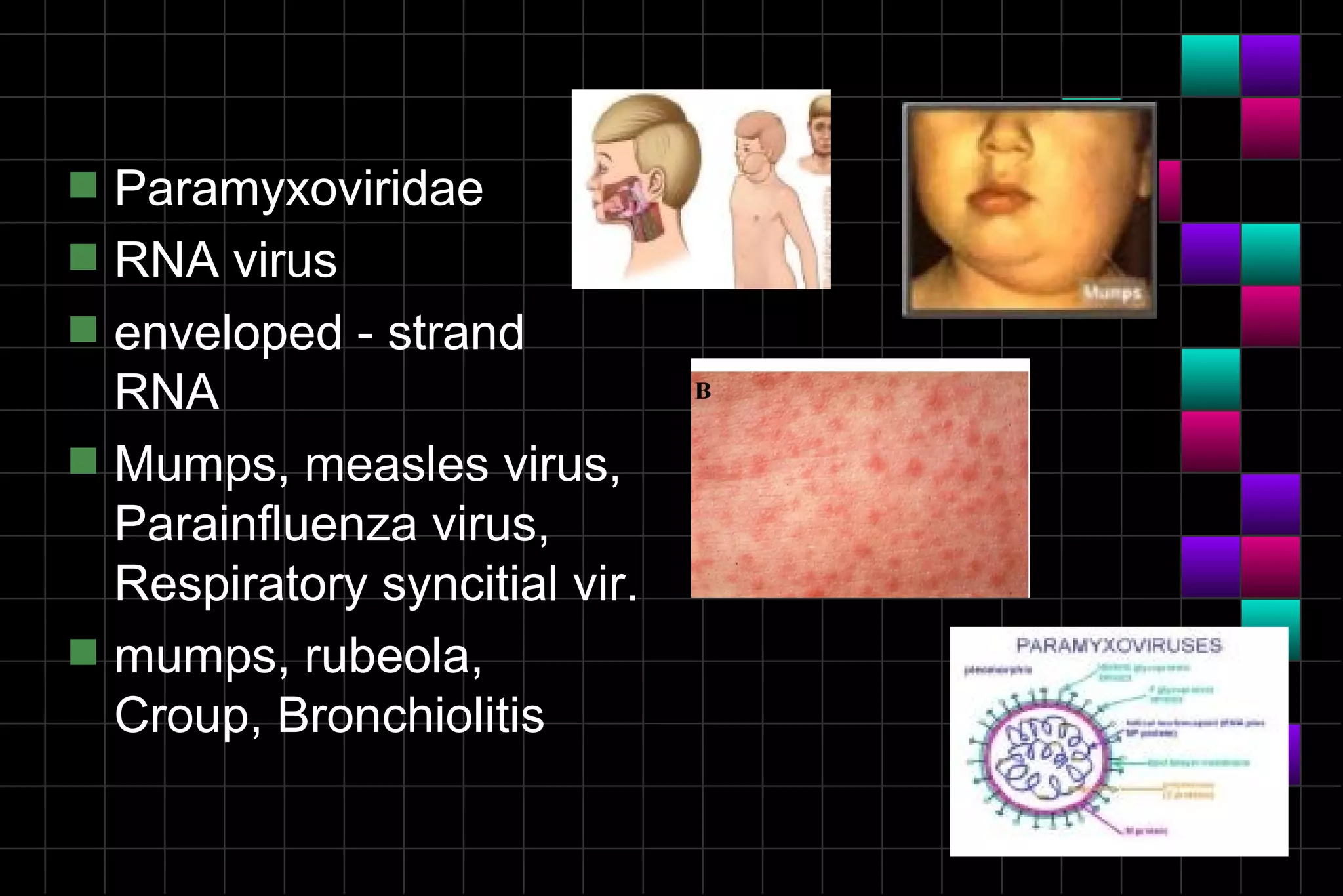 s   Paramyxoviridae
s   RNA virus
s   enveloped - strand
    RNA
s   Mumps, measles virus,
    Parainfluenza virus,
    Respiratory syncitial vir.
s   mumps, rubeola,
    Croup, Bronchiolitis
 