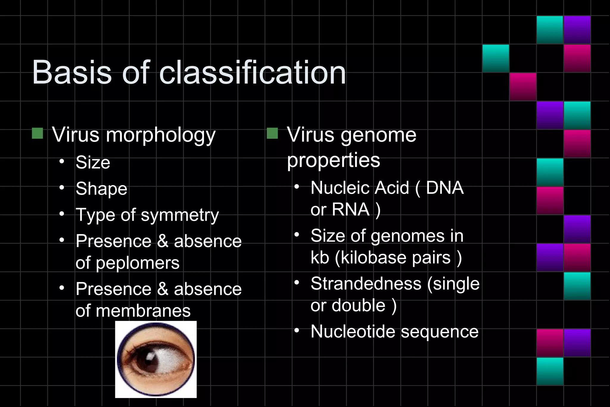 Basis of classification
s   Virus morphology       s   Virus genome
    • Size                     properties
    • Shape                    • Nucleic Acid ( DNA
    • Type of symmetry           or RNA )
    • Presence & absence       • Size of genomes in
      of peplomers               kb (kilobase pairs )
    • Presence & absence       • Strandedness (single
      of membranes               or double )
                               • Nucleotide sequence
 