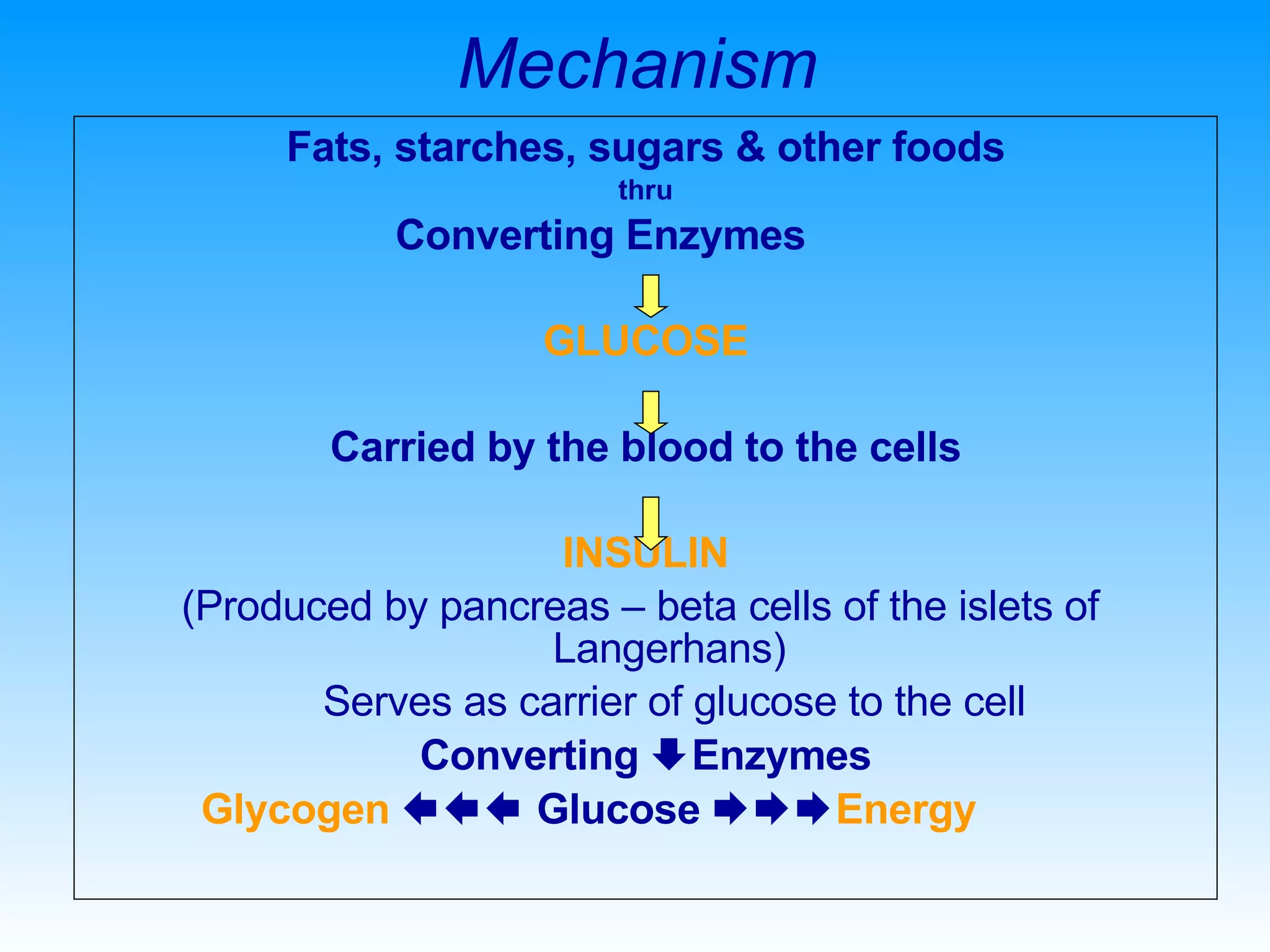 Mechanism Fats, starches, sugars & other foods thru Converting Enzymes GLUCOSE Carried by the blood to the cells INSULIN (Produced by pancreas – beta cells of the islets of  Langerhans) Serves as carrier of glucose to the cell Converting   Enzymes Glycogen     Glucose   Energy 