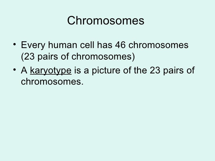 Module 10 human heredity