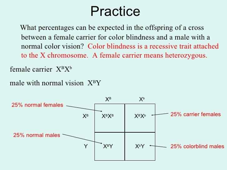 Can A Recessive Trait Be On The Y Chromosome - Eurogentest X Linked