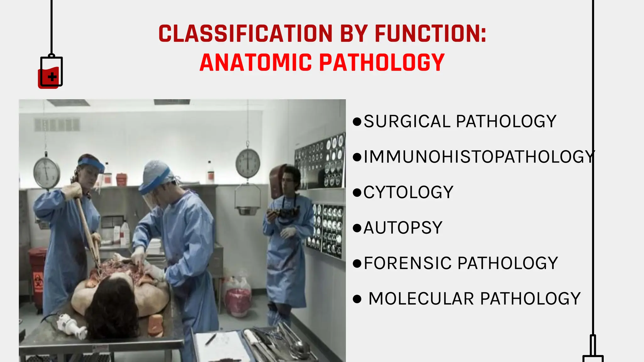 ●SURGICAL PATHOLOGY
●IMMUNOHISTOPATHOLOGY
●CYTOLOGY
●AUTOPSY
●FORENSIC PATHOLOGY
● MOLECULAR PATHOLOGY
CLASSIFICATION BY FUNCTION:
ANATOMIC PATHOLOGY
 