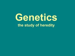 Genetics the study of heredity 
