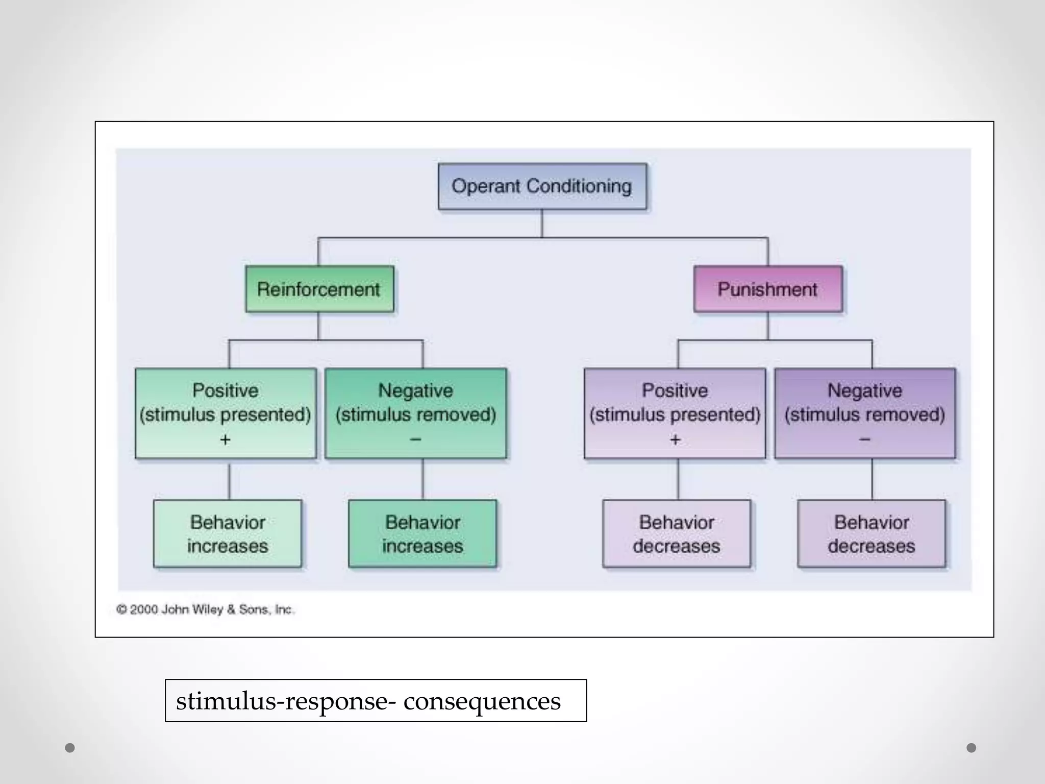 stimulus-response- consequences
 