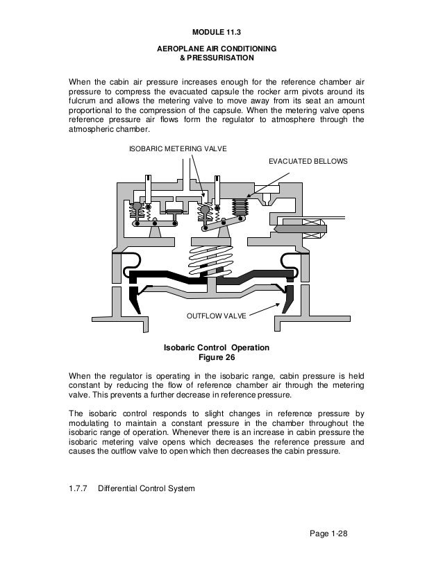 Module 11 3