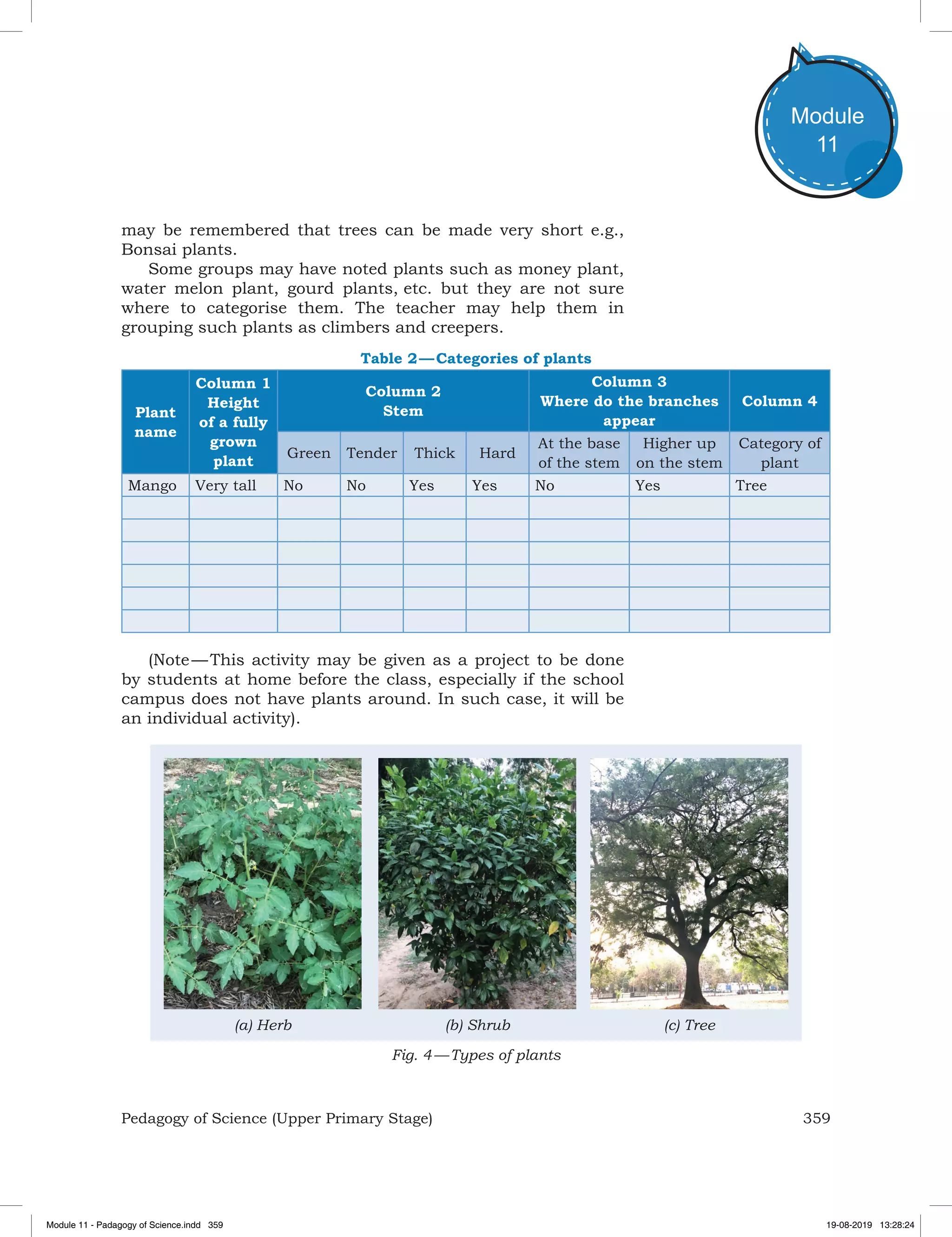359Pedagogy of Science (Upper Primary Stage)
Module
11
Table 2 — Categories of plants
Plant
name
Column 1
Height
of a fully
grown
plant
Column 2
Stem
Column 3
Where do the branches
appear
Column 4
Green Tender Thick Hard
At the base
of the stem
Higher up
on the stem
Category of
plant
Mango Very tall No No Yes Yes No Yes Tree
(Note — This activity may be given as a project to be done
by students at home before the class, especially if the school
campus does not have plants around. In such case, it will be
an individual activity).
(c) Tree(a) Herb (b) Shrub
Fig. 4 — Types of plants
may be remembered that trees can be made very short e.g.,
Bonsai plants.
Some groups may have noted plants such as money plant,
water melon plant, gourd plants, etc. but they are not sure
where to categorise them. The teacher may help them in
grouping such plants as climbers and creepers.
Module 11 - Padagogy of Science.indd 359 19-08-2019 13:28:24
 