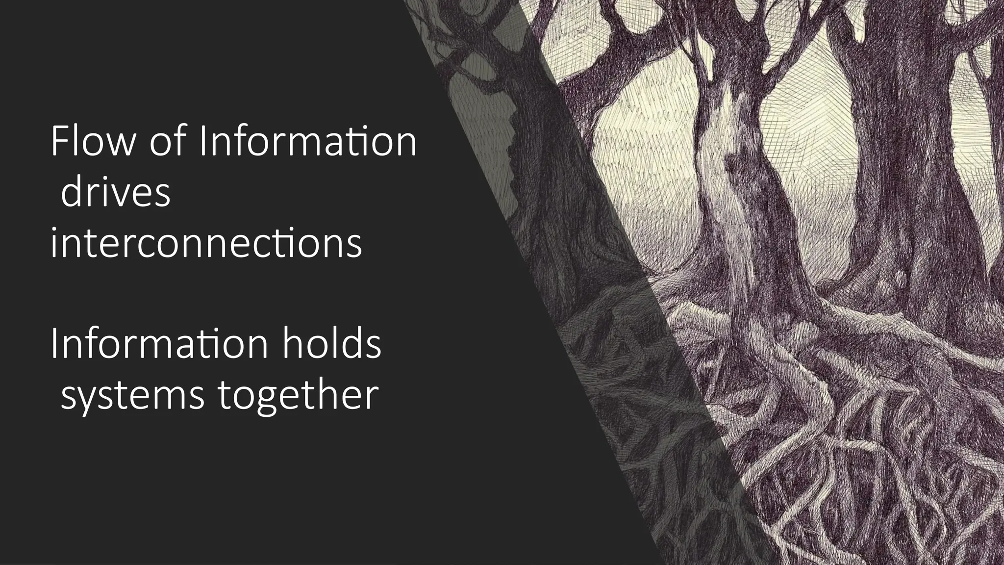 Flow of Information
drives
interconnections
Information holds
systems together
 