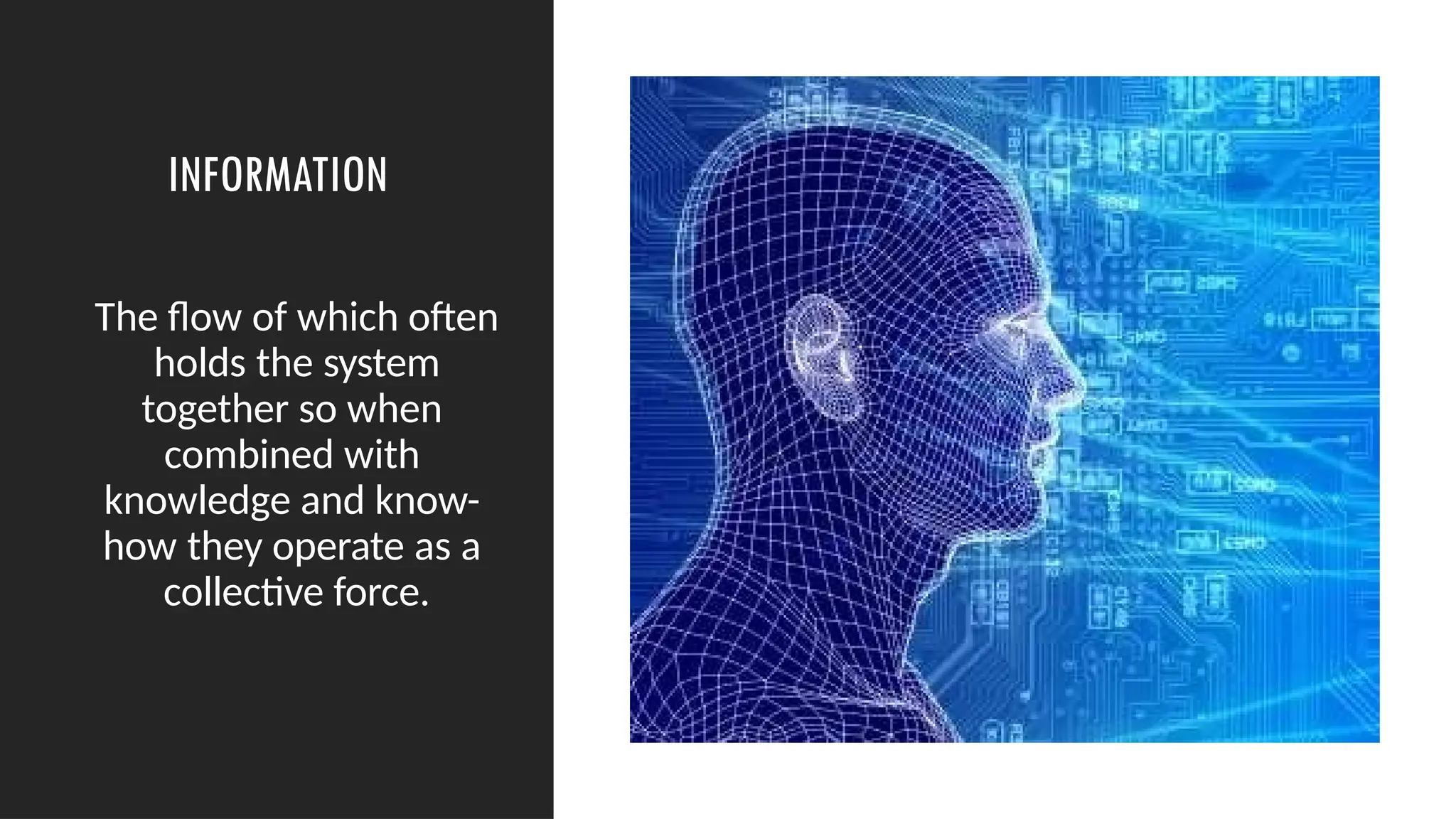 INFORMATION
The flow of which often
holds the system
together so when
combined with
knowledge and know-
how they operate as a
collective force.
 