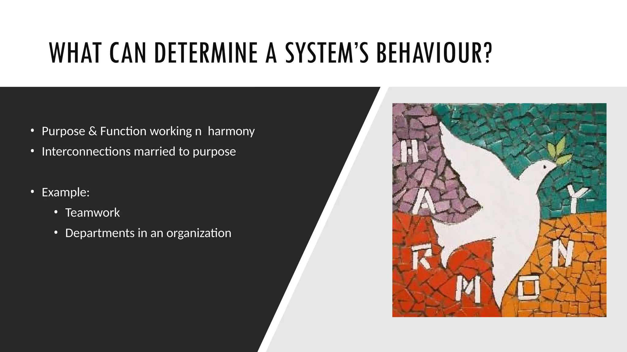 WHAT CAN DETERMINE A SYSTEM’S BEHAVIOUR?
• Purpose & Function working n harmony
• Interconnections married to purpose
• Example:
• Teamwork
• Departments in an organization
 