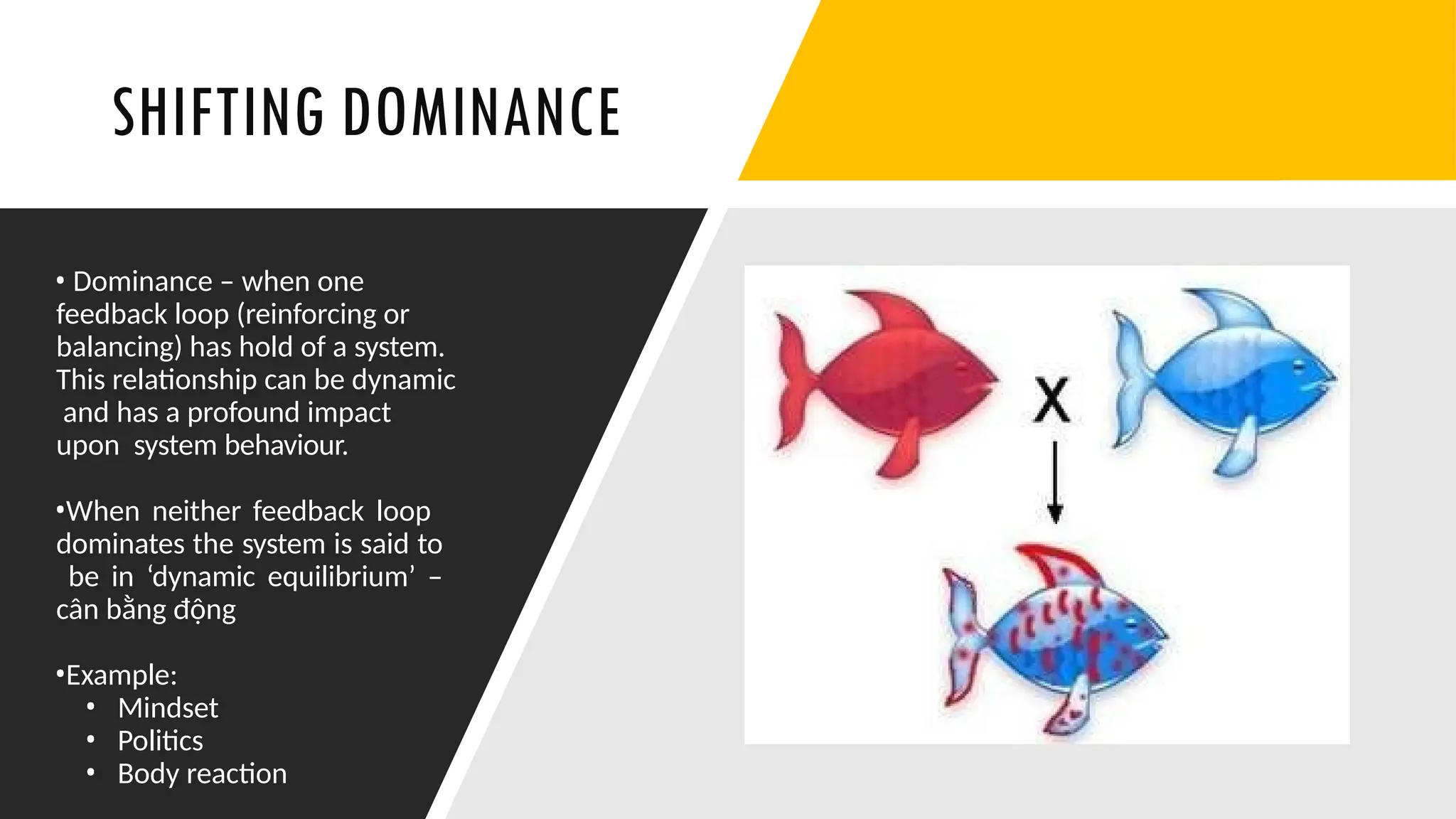 SHIFTING DOMINANCE
• Dominance – when one
feedback loop (reinforcing or
balancing) has hold of a system.
This relationship can be dynamic
and has a profound impact
upon system behaviour.
•When neither feedback loop
dominates the system is said to
be in ‘dynamic equilibrium’ –
cân bằng động
•Example:
• Mindset
• Politics
• Body reaction
 