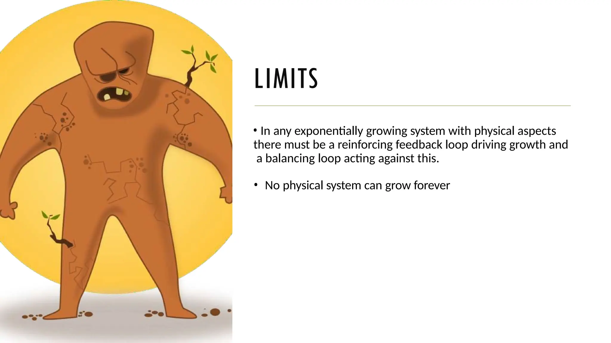 LIMITS
• In any exponentially growing system with physical aspects
there must be a reinforcing feedback loop driving growth and
a balancing loop acting against this.
• No physical system can grow forever
 