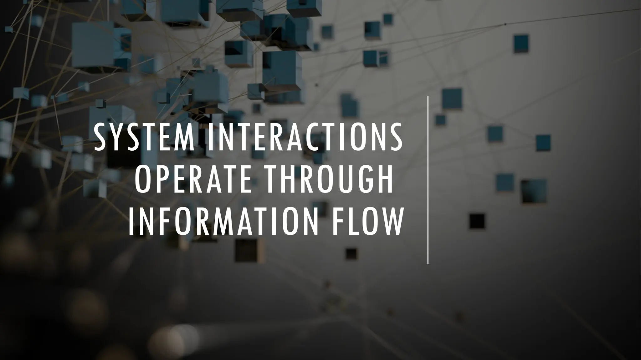 SYSTEM INTERACTIONS
OPERATE THROUGH
INFORMATION FLOW
 