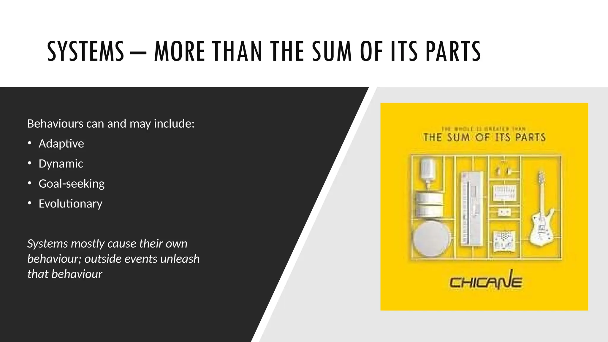 SYSTEMS – MORE THAN THE SUM OF ITS PARTS
Behaviours can and may include:
• Adaptive
• Dynamic
• Goal-seeking
• Evolutionary
Systems mostly cause their own
behaviour; outside events unleash
that behaviour
 