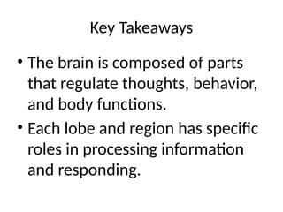 Key Takeaways
• The brain is composed of parts
that regulate thoughts, behavior,
and body functions.
• Each lobe and region has specific
roles in processing information
and responding.
 