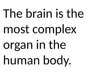 The brain is the
most complex
organ in the
human body.
 