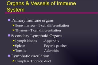 Organs & Vessels of Immune
System
s   Primary Immune organs
    ® Bonemarrow - B cell differentiation
    ® Thymus - T cell differentiation

s   Secondary Lymphoid Organs
    ® Lymph     Nodes     -Appendix
    ® Spleen              -Peyer’s patches
    ® Tonsils             -Adenoids
s   Lymphatic circulation
    ® Lymph     & Thoracic duct
 